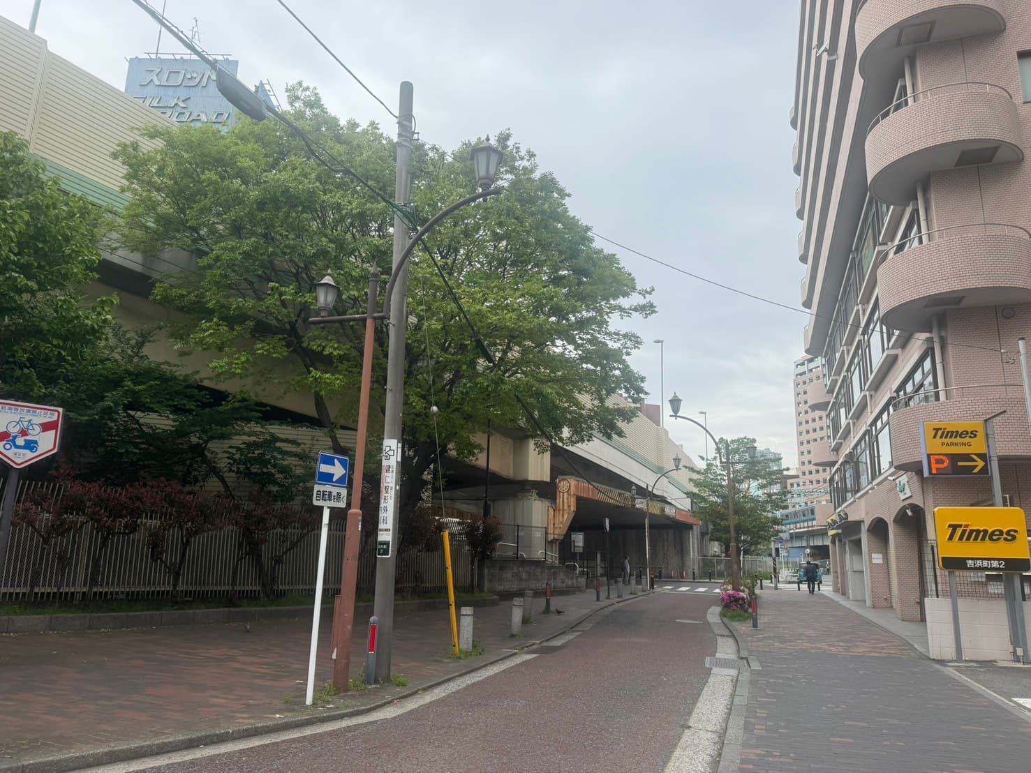 寿地区の並木道と街灯が連なる落ち着いた通り